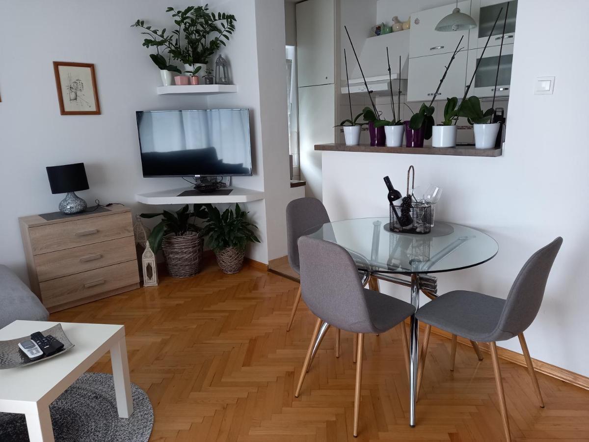 Apartments Anita 茨里克韦尼察 外观 照片