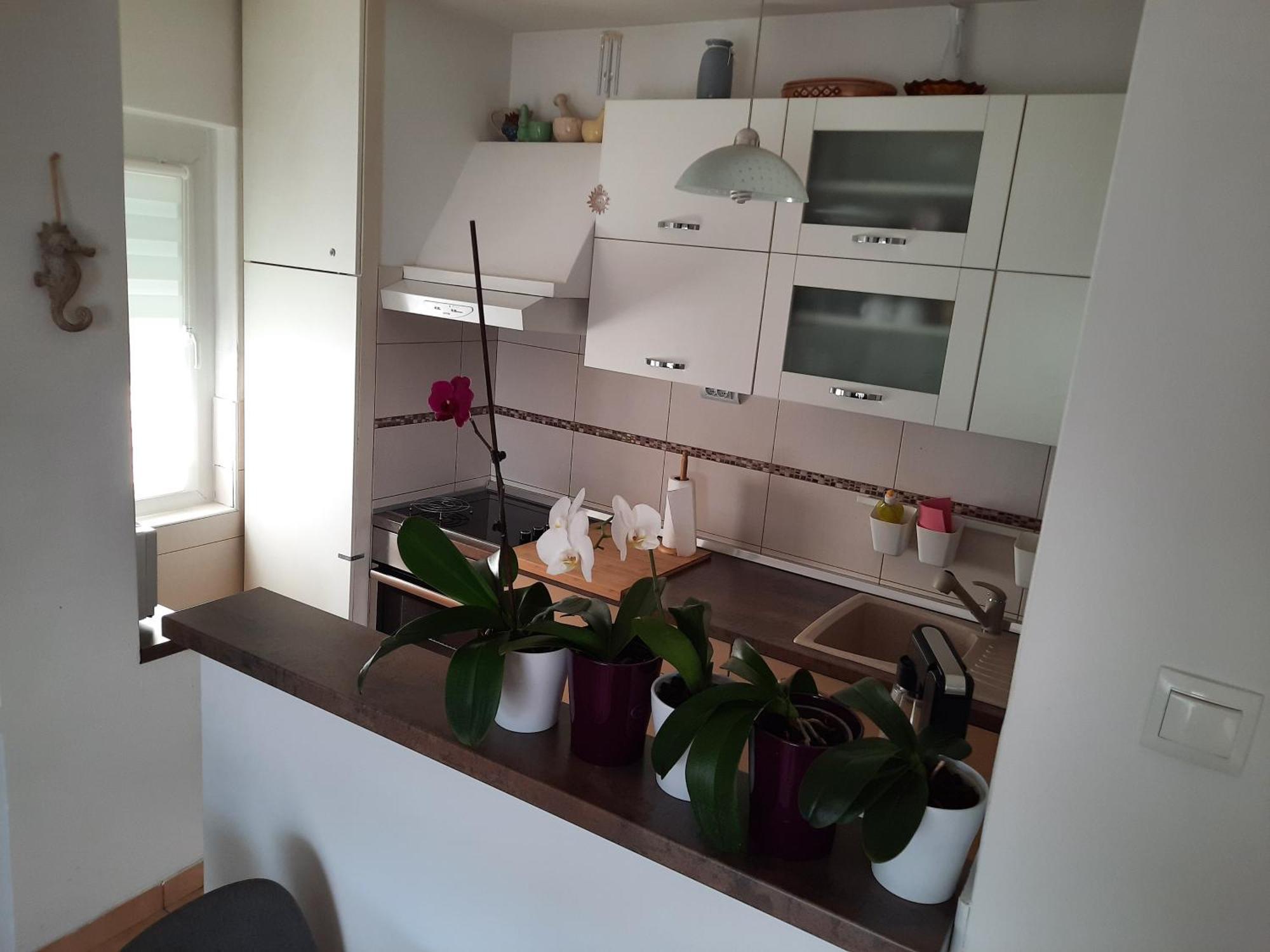 Apartments Anita 茨里克韦尼察 客房 照片